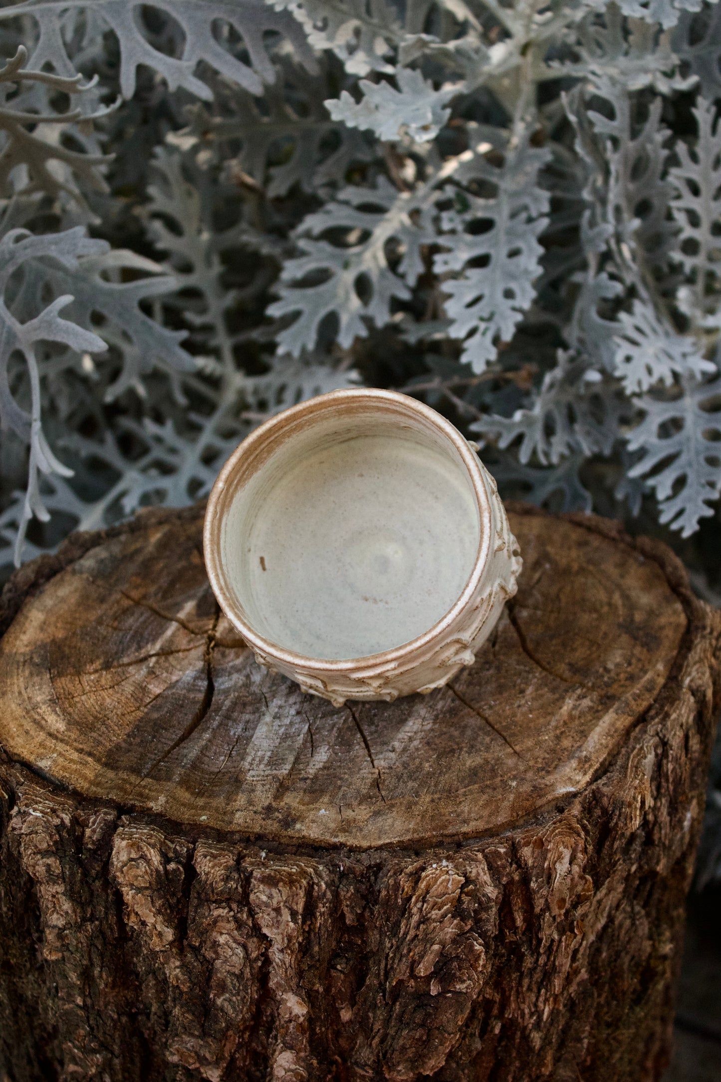 Chawan Piccola Romantica 3
