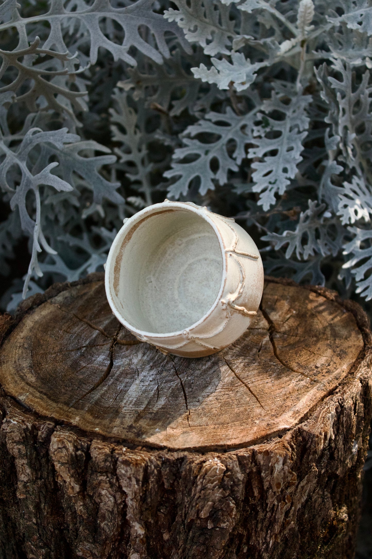 Chawan Piccola Romantica 5