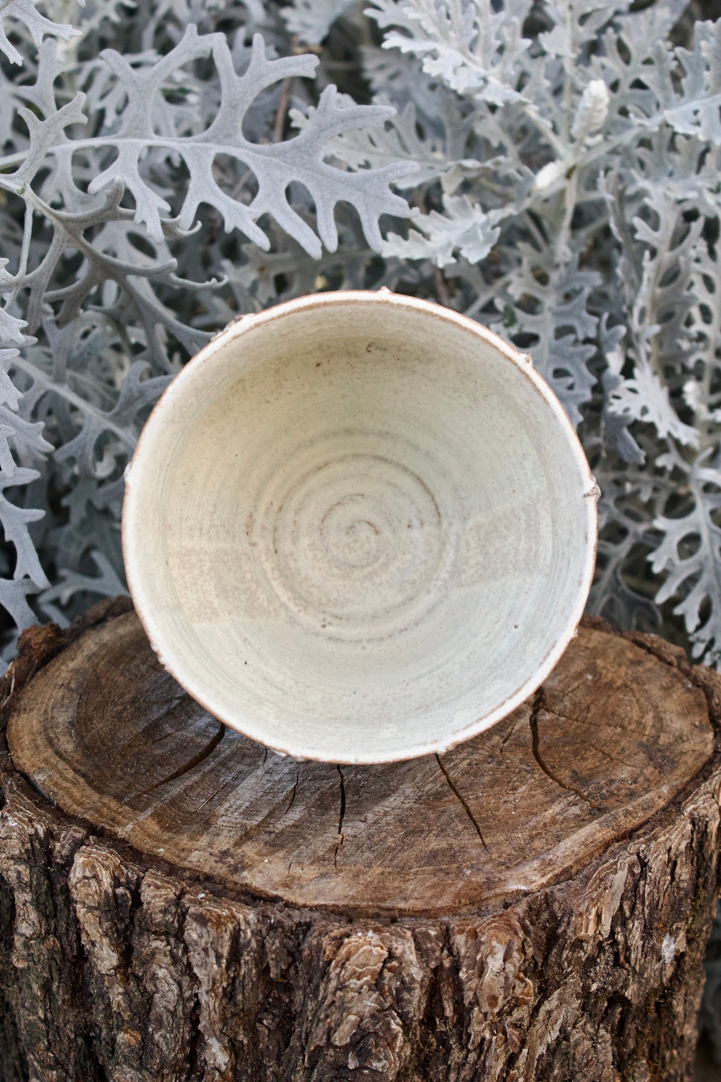 Chawan Romantica 3