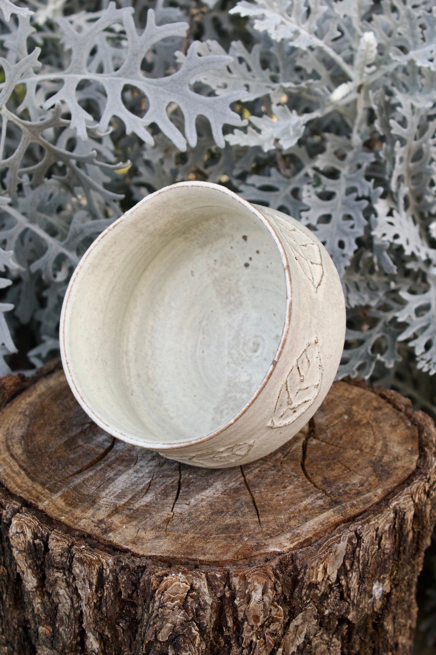 Chawan Romantica 6