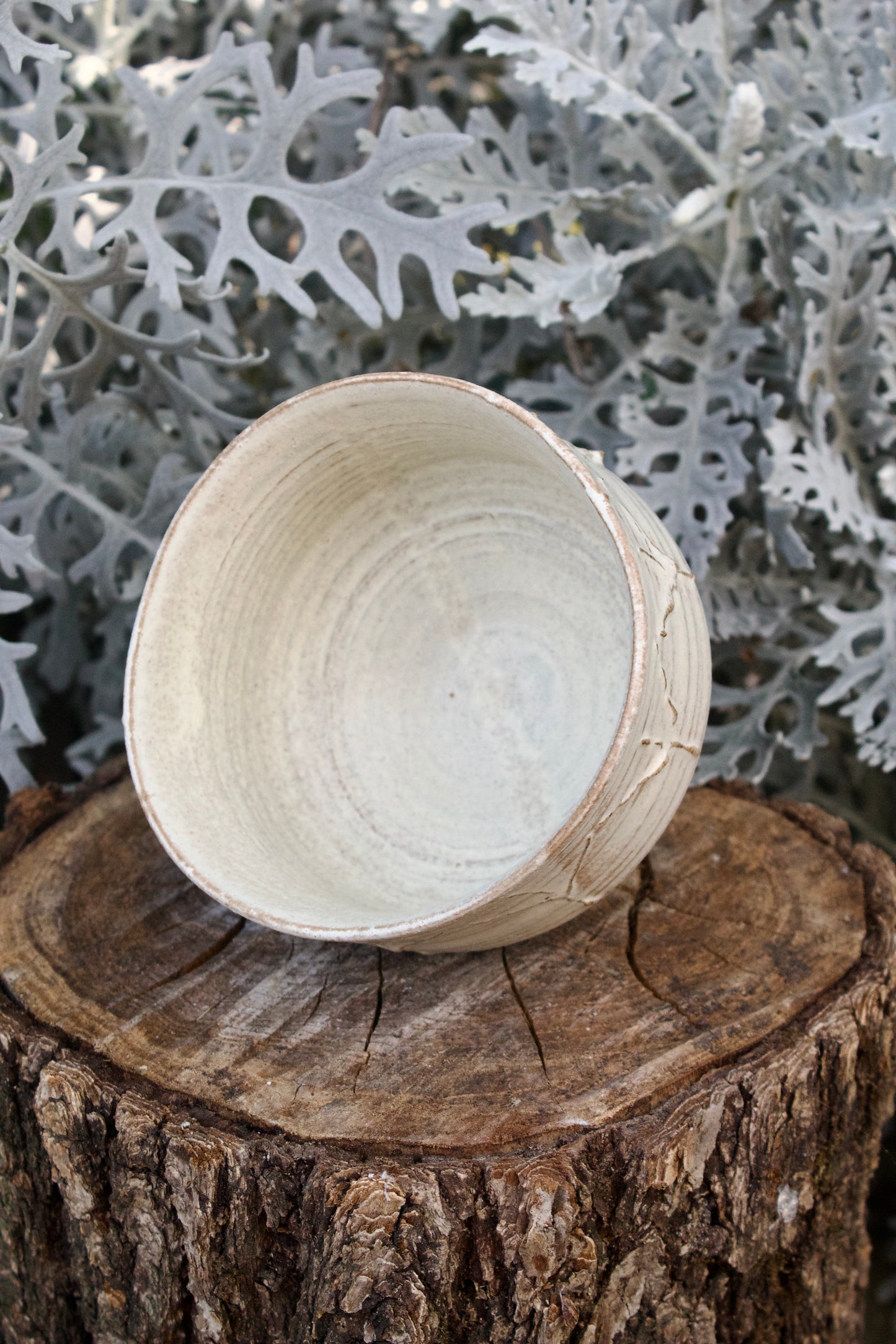 Chawan Romantica 7