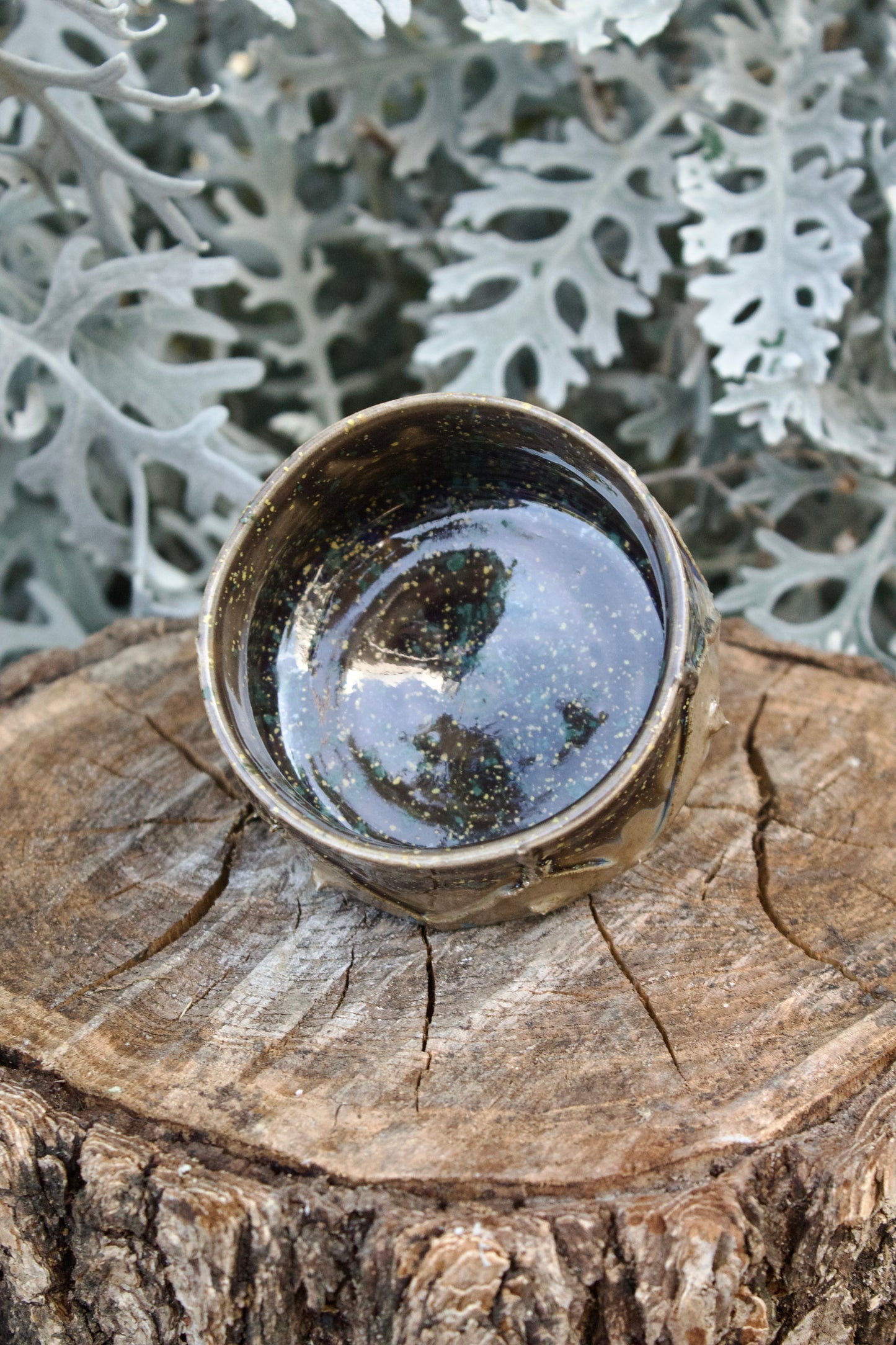 Chawan Piccola Bosco 1