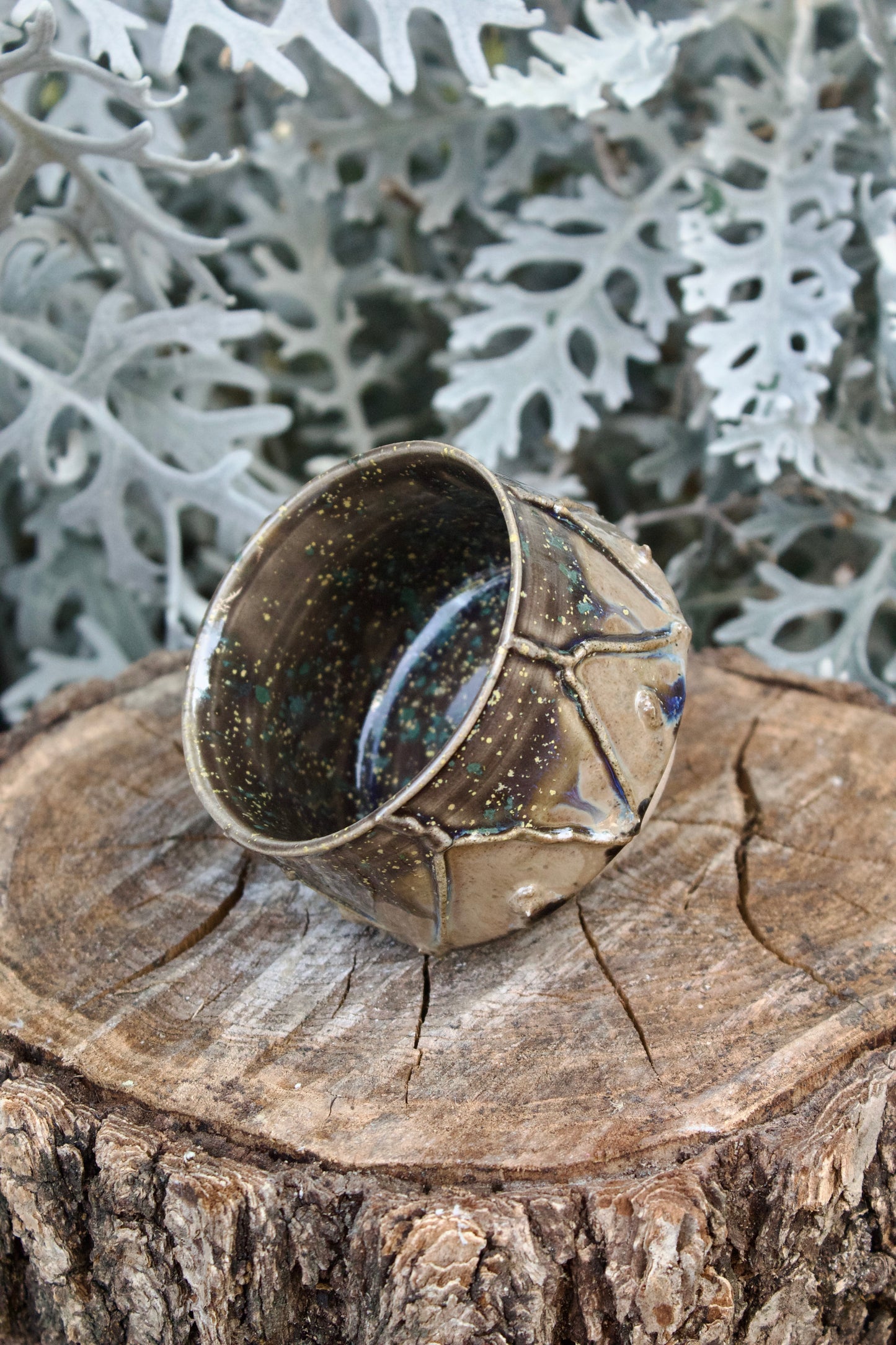 Chawan Piccola Bosco 1