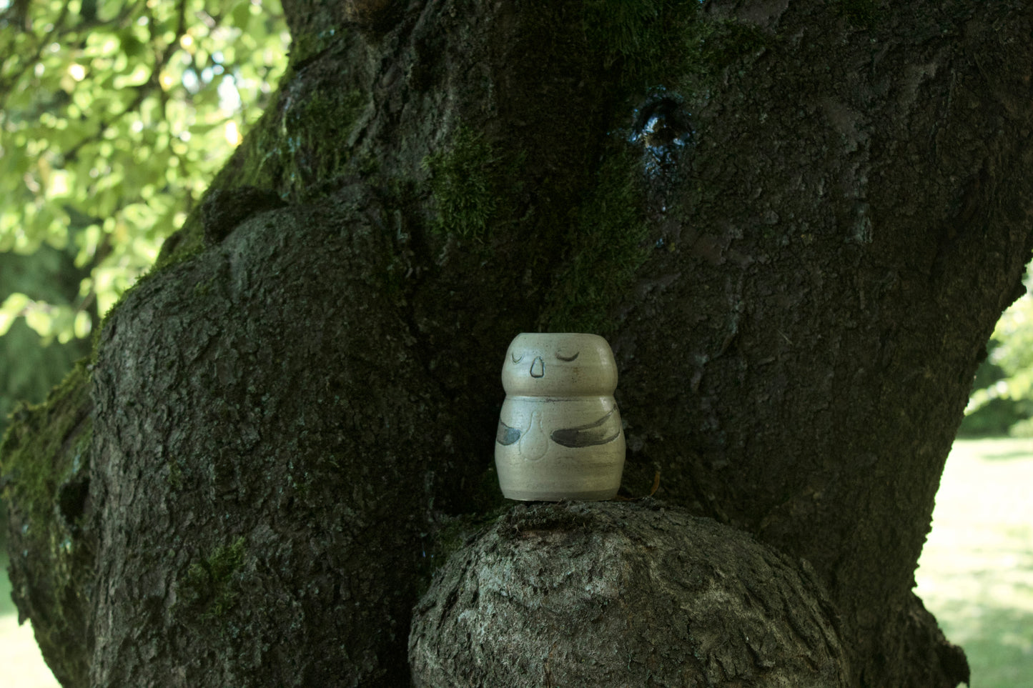 Guardiano del Focolare Medio II